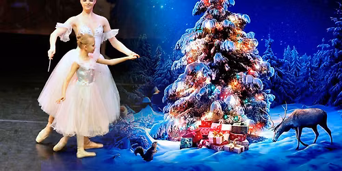 "The Nutcracker" ballet-1 in The Hague 24.01.26 at 12:30