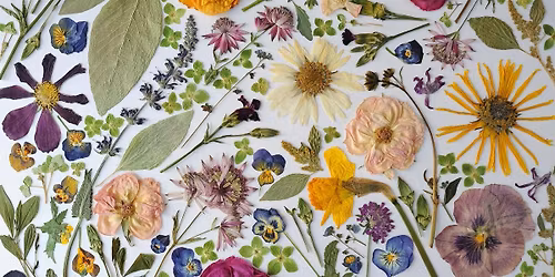 IMPRESS ME: A Pressed Flower Art Workshop by Wildly Impressed