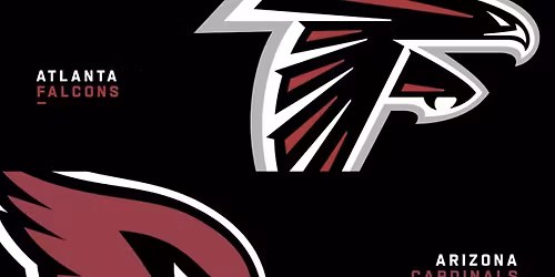 Ultimate Fan Experience: Arizona Cardinals vs Atlanta Falcons!