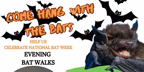 Bat Walk