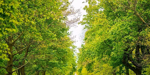 Green Escapes: An introduction to nature in The Regent's Park