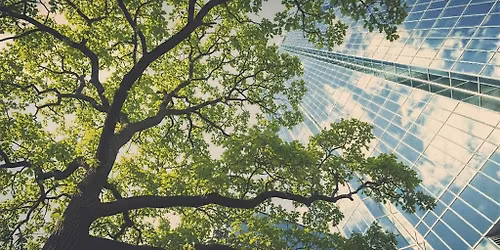 Growing with Purpose: Culture That Scales