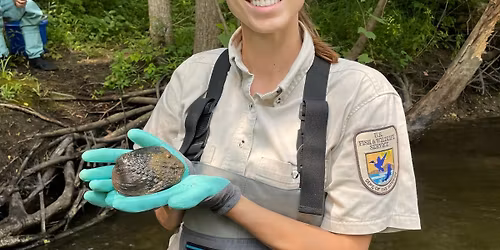 Fisheries Lecture Series: Mussel Surveying and Identification
