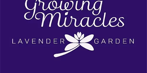 9th Annual Lavender Festival & Farm Tour