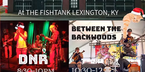 PUNKY REGGAE CHRISTMAS!