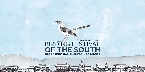 Birding Festival of the South