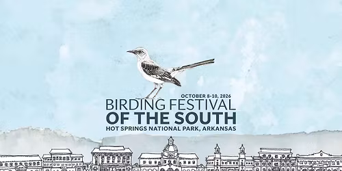 Birding Festival of the South