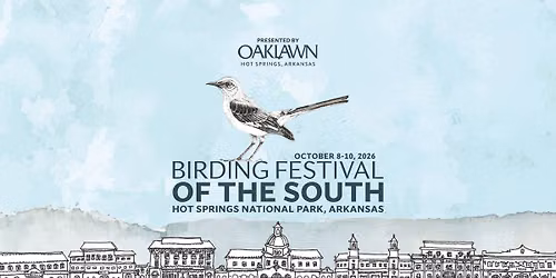 Birding Festival of the South