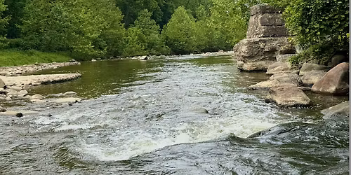 International Perspectives on Environmental Stewardship Symposium