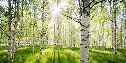 Existentiella teman i v\u00e5r tid \u2013 Att leva med d\u00f6den