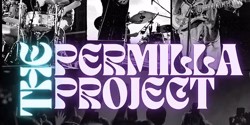 The Permilla Project \ud83c\udfb8 @ Chuck\u2019s Backyard 