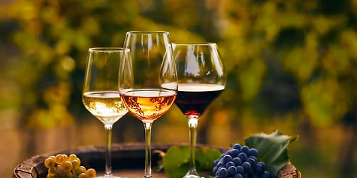 Explore France with Plamen