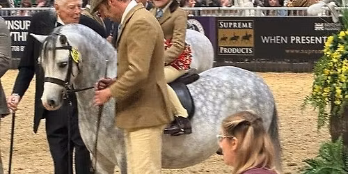 OLI BURCHELL SHOWING CLINIC