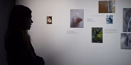 Ujeto v zrak: Spajanje poezije in fotografije z gostjo Ano Pepelnik