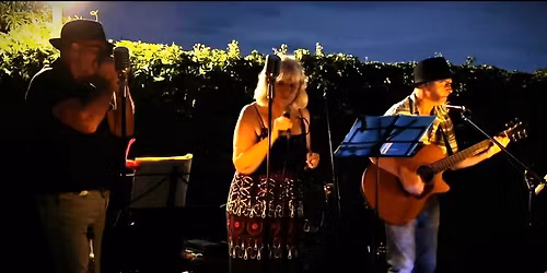 Sunday Arvo Session - Reflections Trio