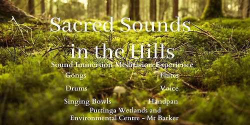 (2 spaces left) Sounds In The Hills - Sound Journey (3pm)