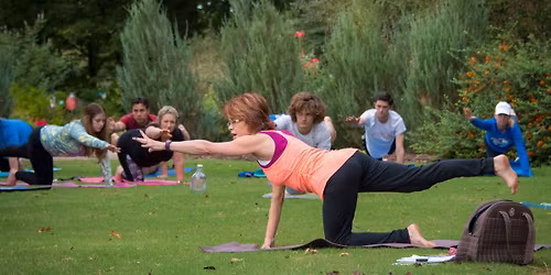 Yoga in the Garden