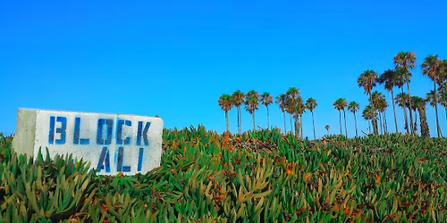 Live @ Project Barley 