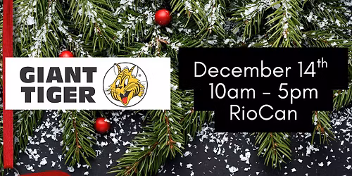 The Weekend of Care-ing; Day 3, Giant Tiger 