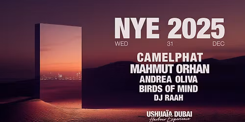 CAMELPHAT AND MAHMUT ORHAN AT USHUA\u00cfA DUBAI 