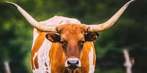 In-Person PMHNP Review Conference: Dallas, Texas