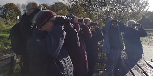Birdwatching \u2013 Understanding More About Autumn Birds  (Wednesdays)
