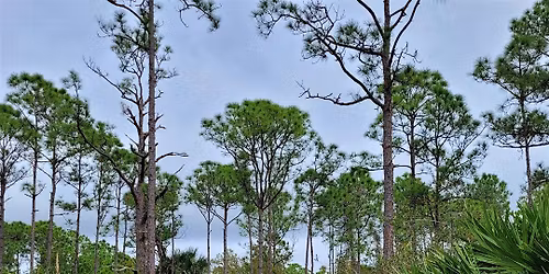 Hiking Tips & Tricks at Donald B. Moore Preserve
