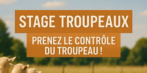 [COMPLET] Stage Initiation Troupeaux avec Photographe