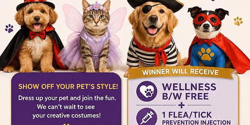 Fancy Pet Dress