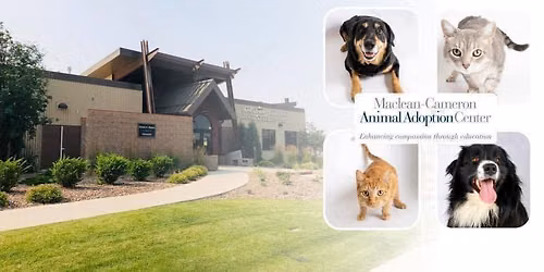Five Guys Give Back Night!
