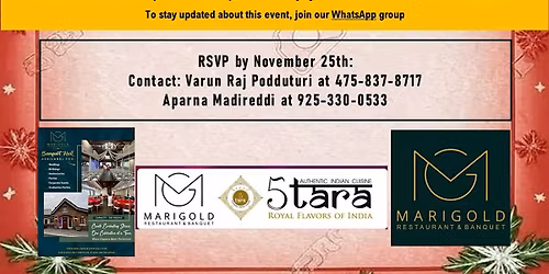 Desi Singles Holiday Spark Mixer