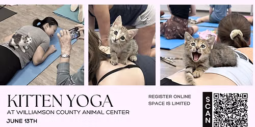 Kitten Yoga (2:30 class)
