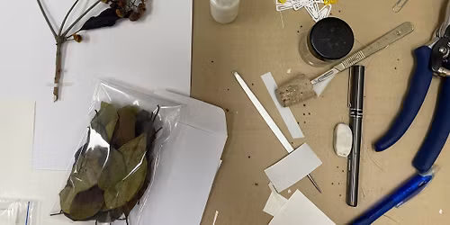 The Body Language of Plants - Botany and Art Workshop