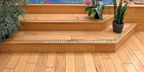 Super Full Moon in Gemini Yoga, Guided Meditation & Sound Bath