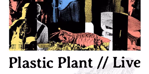 Plastic Plant