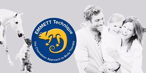 EMMETT 4 Humans Workshop