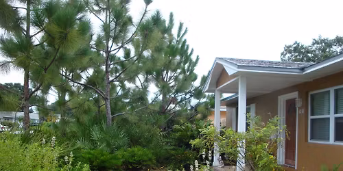 Central Florida Natives: What to Plant, Here and Now