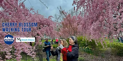 Cherry Blossom Walking Tour
