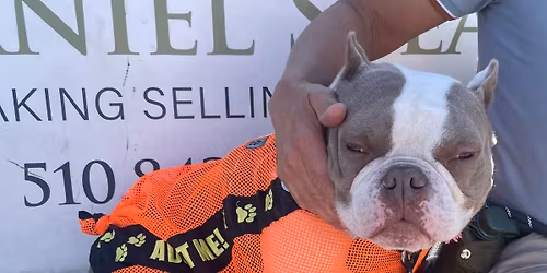 Mobile Adoption Event: PFE Alameda