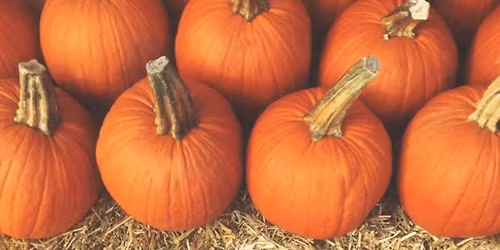 Middleburg Historic Fall Festival