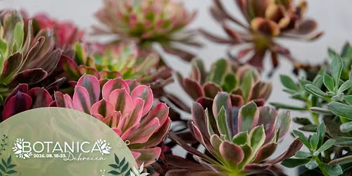 \ud83c\udf3f BOTANICA EXPO | Debreceni Vir\u00e1gkarnev\u00e1l 2026. \ud83c\udf38