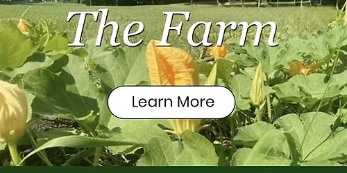 EverGrow Farm fall Fest