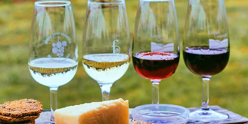  \u015awi\u0119to M\u0142odego Wina w Sandomierzu