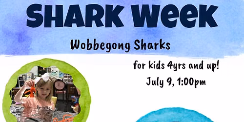 Shark Week at SEER - Wobbegong Shark
