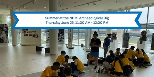 Summer at The NHM: Archaeological Dig