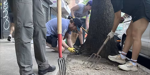 Street Tree Care w\/ 31st Ave Open Street
