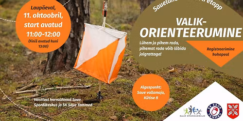 Sauelane liikuma orienteerumisetapp 11.10.2025