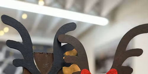 3D Wood Reindeer Painting Class
