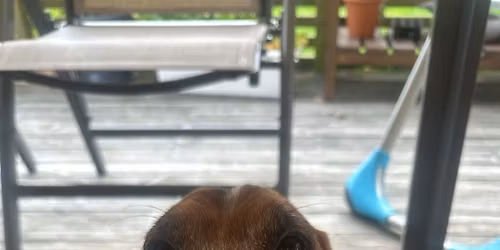 Nj\u00e1la and \u00d3l\u00f6fs farewell drinks