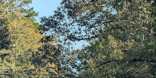 It\u2019s about the kids